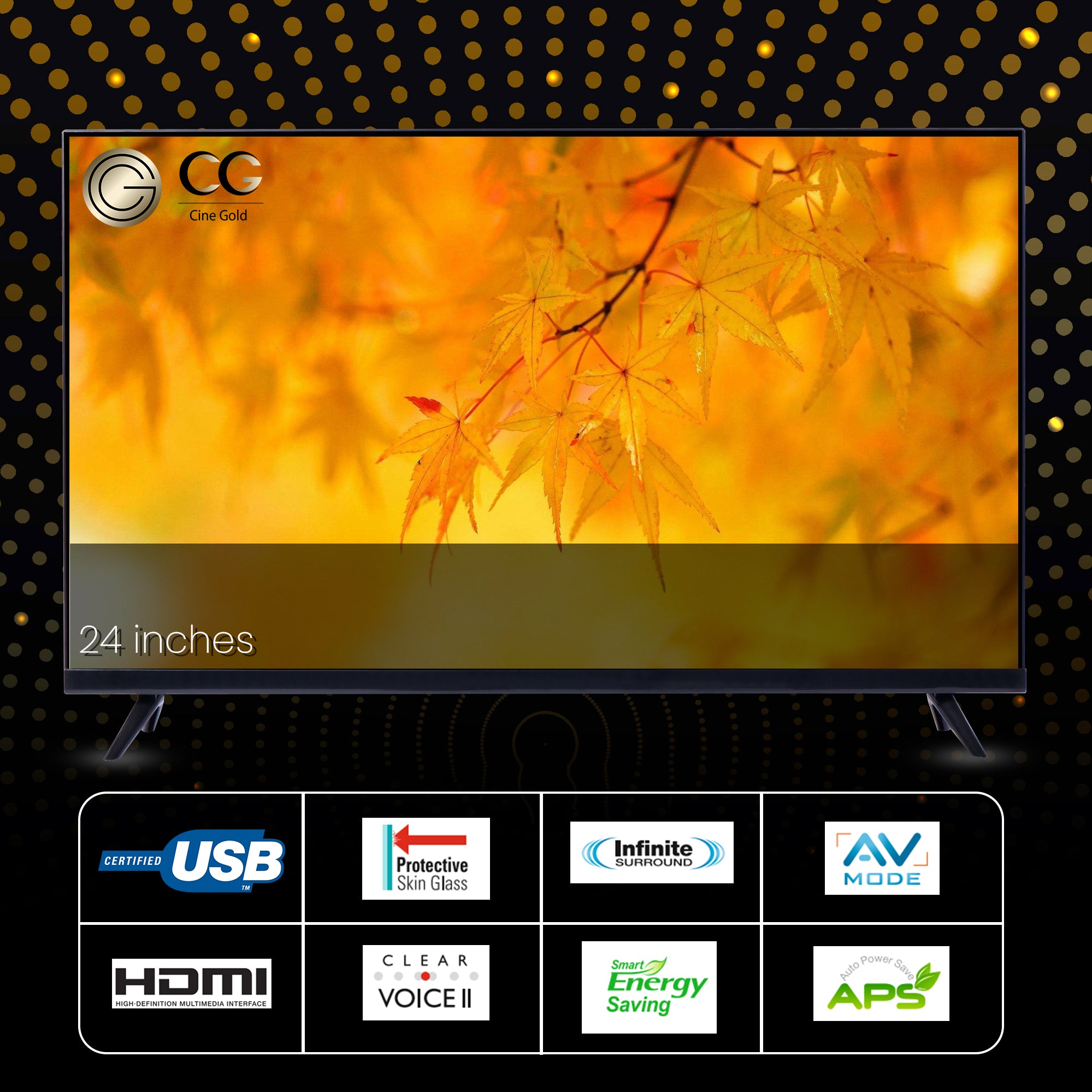 Cine Gold 60 cm (24 inches) True Frameless NORMAL LED TV