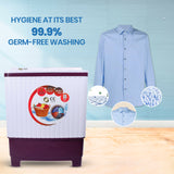 Cine Gold 7.5 Kg 5 Star Quick Air Dry Semi-Automatic Top Loading Washing Machine Blue Flower Toughened Glass Top with Rat Away Feature